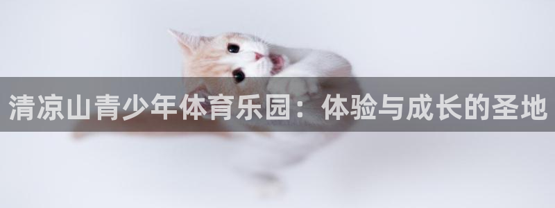 利记官网下载招商电话地址是多少:清凉山青少年体育乐园:体验与