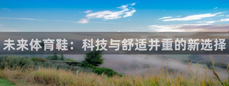 利记官方正版app娱乐40996:未来体育鞋:科技与舒适并重