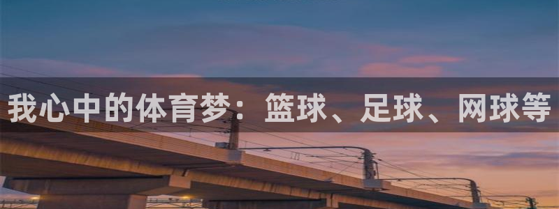 利记官方正版app神州:我心中的体育梦:篮球、足球、网球等